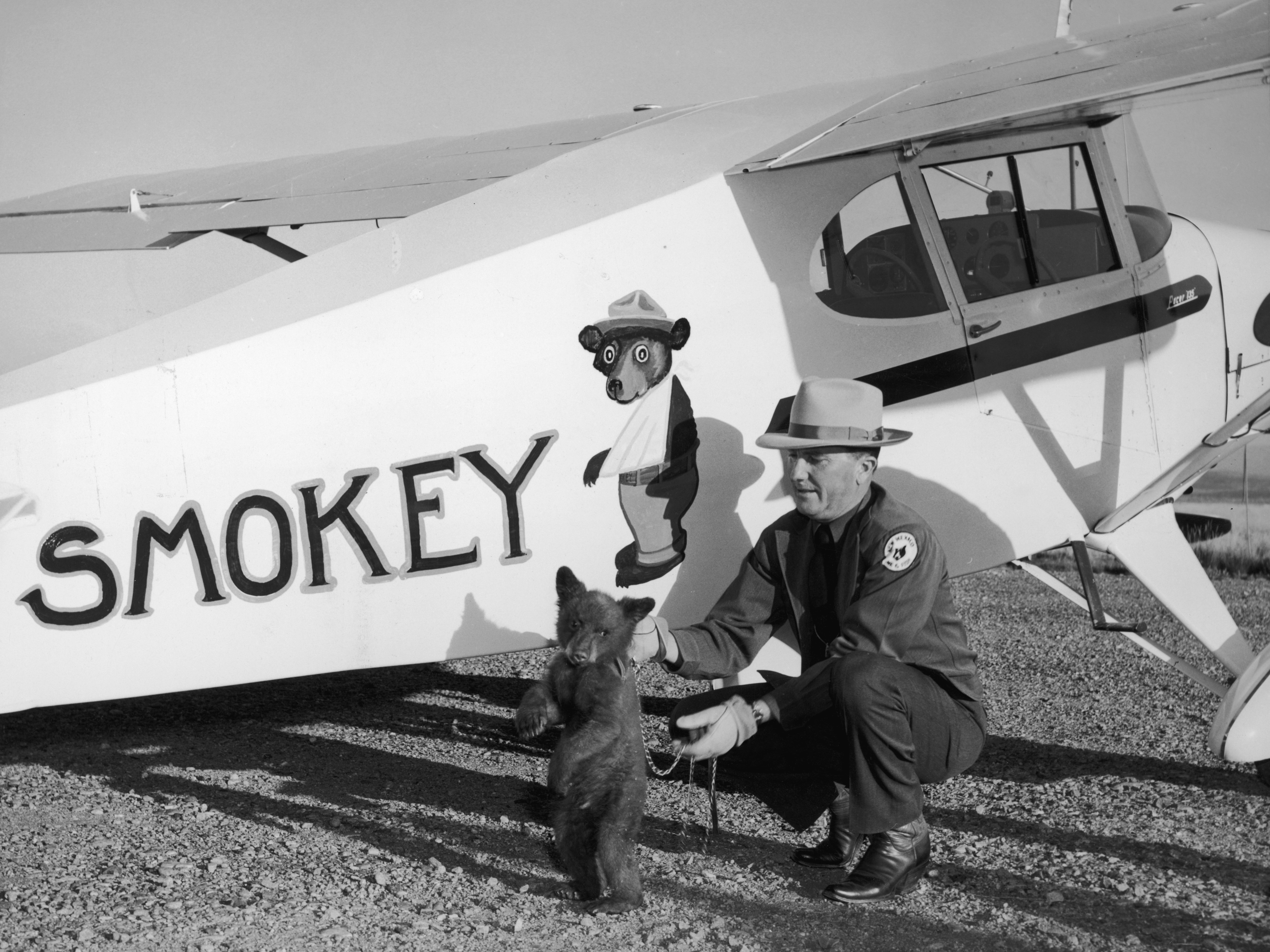 caption: Smokey the bear cub is flown from Santa Fe, N.M., to his new home at the Washington National Zoo in a Piper J-3 Cub by New Mexico Assistant State Game Warden Homer C. Pickens in 1950. The little bear was rescued from a forest fire and named Smokey after the fire prevention symbol of the U.S. Forest Service.