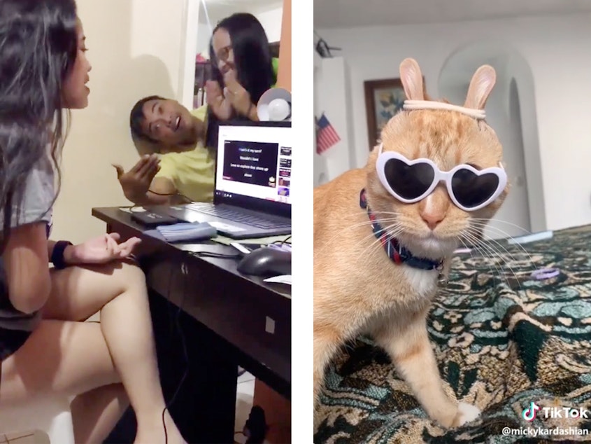 caption: In a year of gloom and doom, disasters and disease, these are the sweet online moments from around the world that brightened up our days this year. Left to right: an aspiring singer in the Philippines; scrunchie cat; Venezuelan cooking lessons.