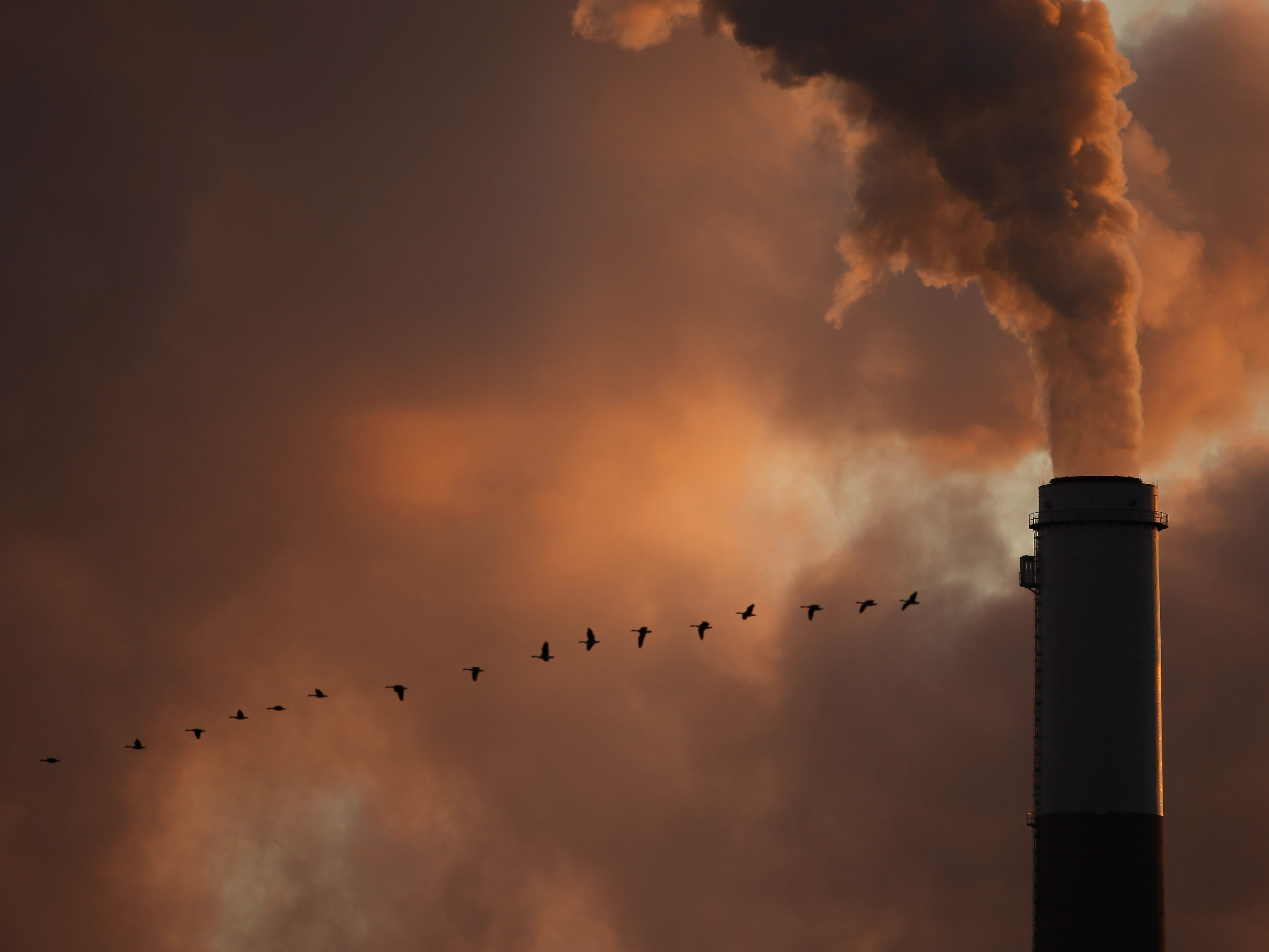 caption: The draft defines ecocide as "unlawful or wanton acts committed with knowledge that there is a substantial likelihood of severe and either widespread or long-term damage to the environment being caused by those acts."