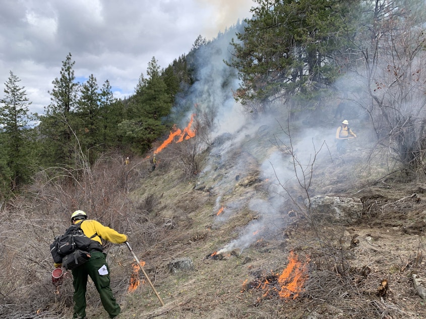 caption: Department of Natural Resources firefighters start a prescribed burn in the Sinlahekin Wildlife Area in March 2022. DNR began its first prescribed burn season in 18 years in 2022 to combat the risk of increasingly severe wildfires in the region. 