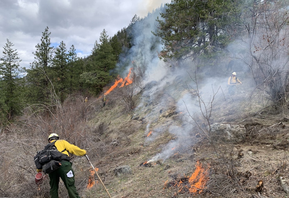 caption: Department of Natural Resources firefighters start a prescribed burn in the Sinlahekin Wildlife Area in March 2022. DNR began its first prescribed burn season in 18 years in 2022 to combat the risk of increasingly severe wildfires in the region. 