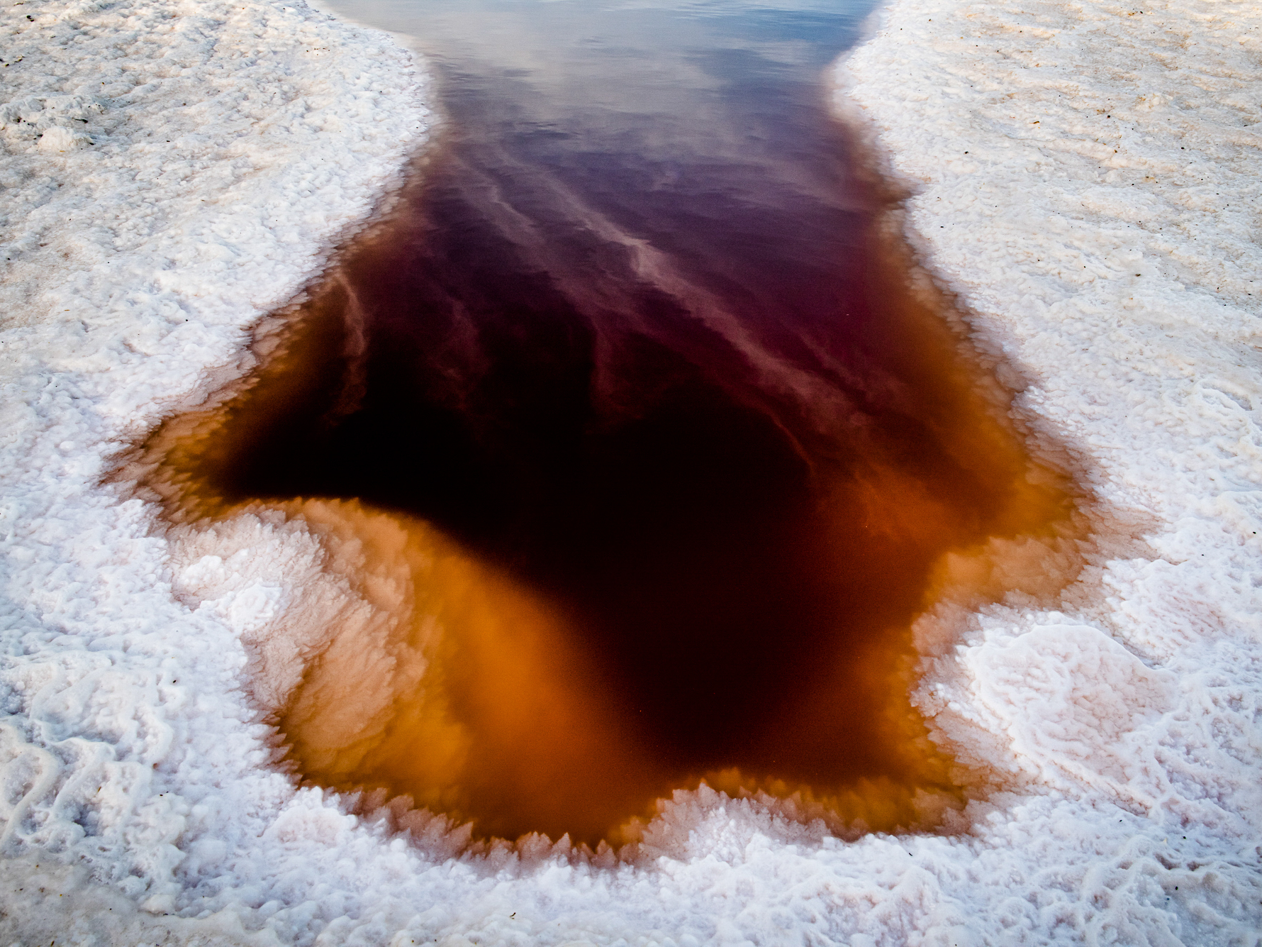 caption: Ravenswood III, 2020, Menlo Park, CA.