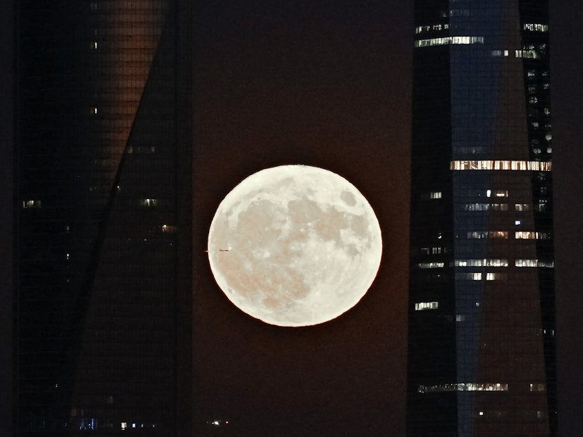 caption: This picture taken on Aug. 1, 2023, shows the second supermoon of 2023, also known as the sturgeon moon, rising behind the Cuatro Torres business area in Madrid.