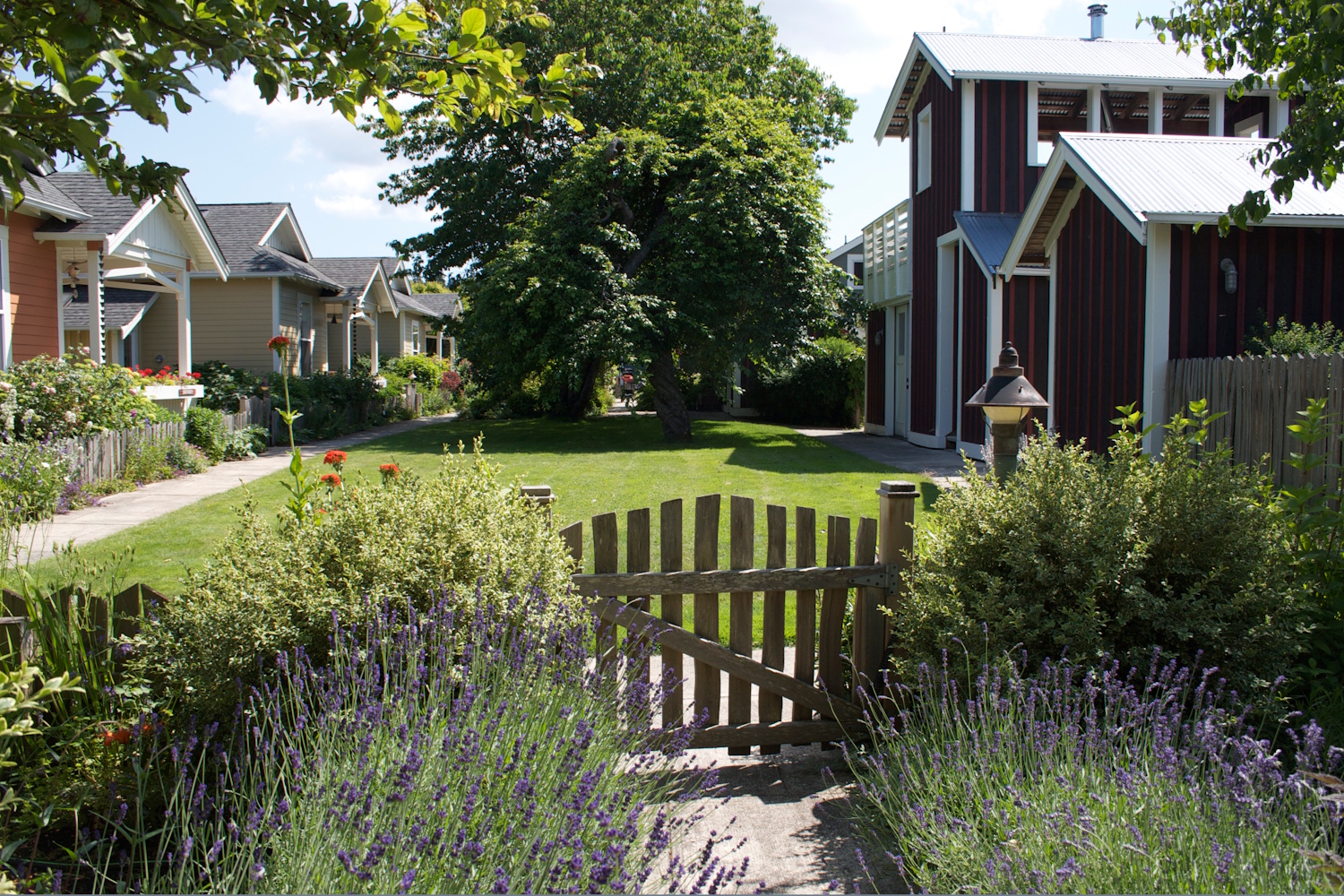 caption: Third Street Cottages, in Langley on Whidbey Island, Washington served as inspiration for Senait Brown and her cohousing group.