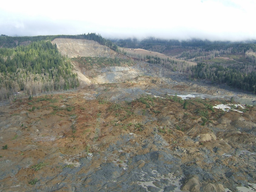 caption: The site of the deadly Oso, Washington mudslide on March 22, 2014.