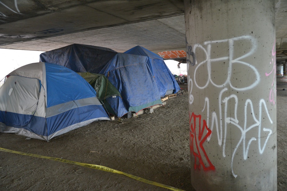 caption: A homeless encampment under I-5 in January 2016.