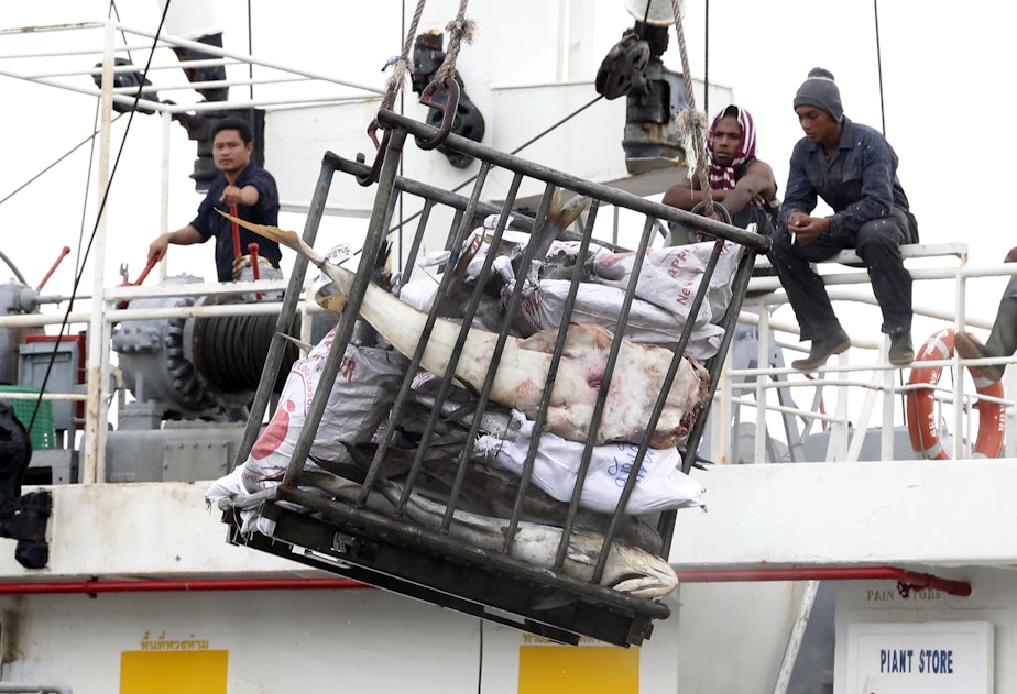 caption: 2014 file photo: Workers in Indonesia load fish onto a cargo ship bound for Thailand. Seafood caught by slaves mixes in with other fish at a number of sites in Thailand.