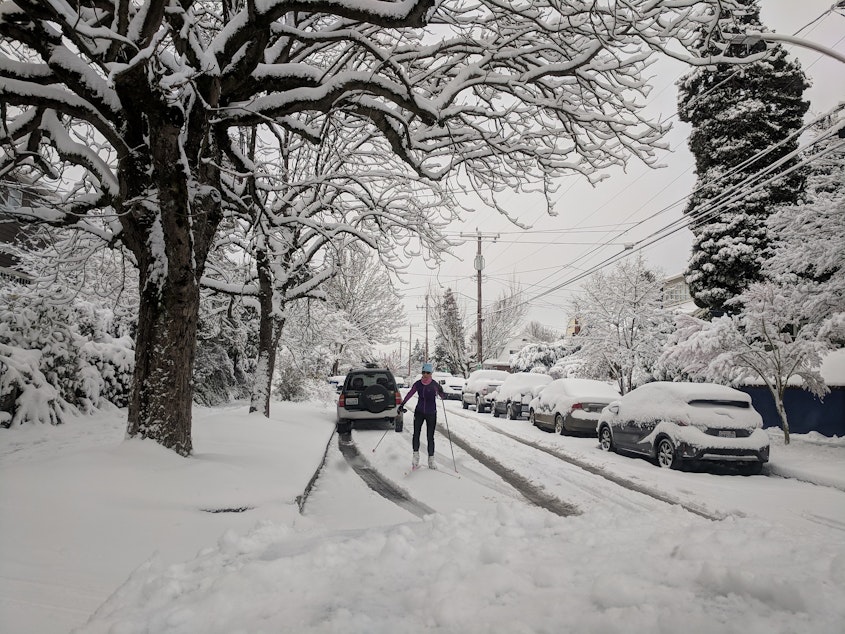 caption: Skiing in Seattle's Wallingford neighborhood on Saturday, Feb. 9, 2019.