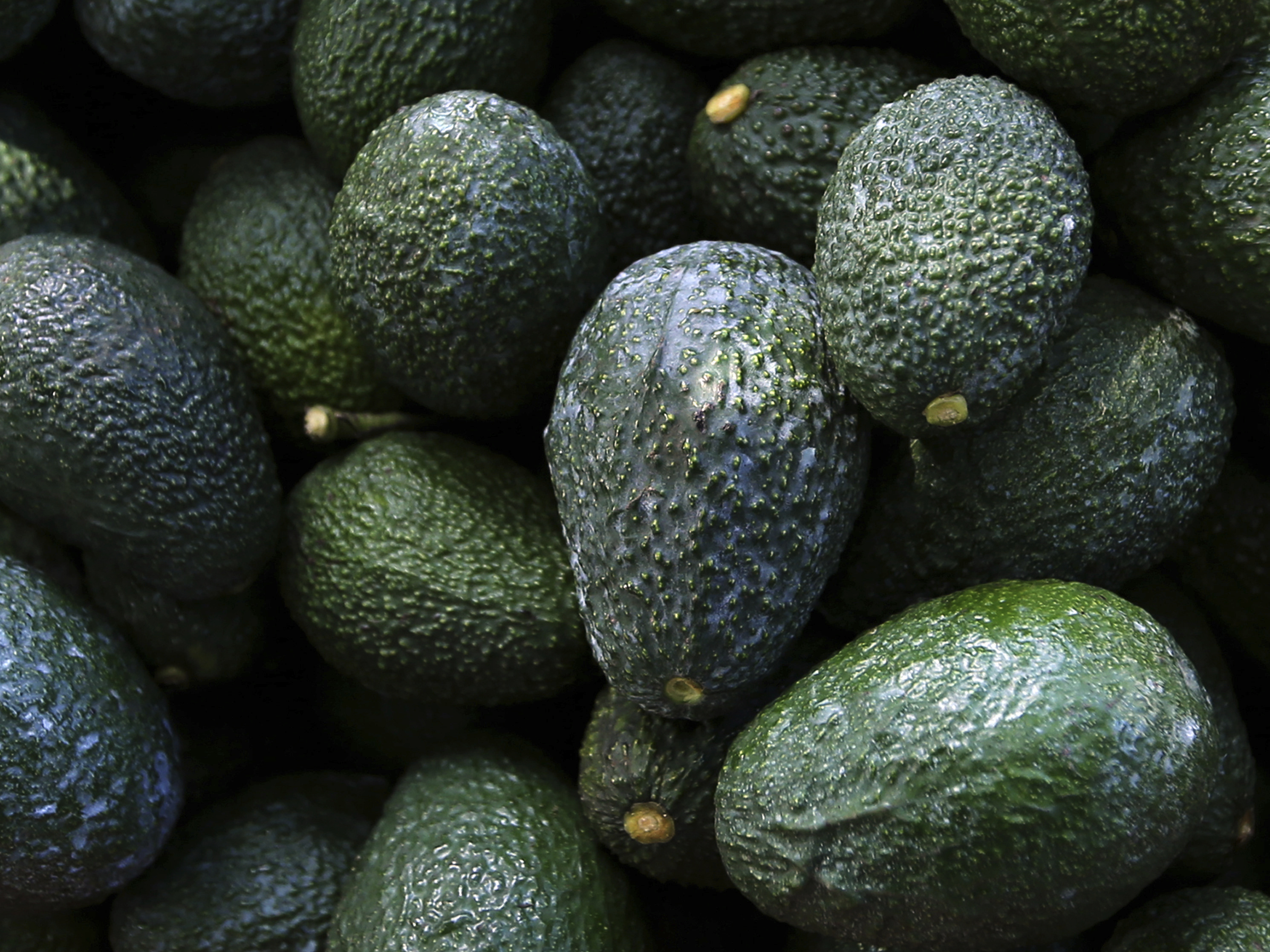 caption: Mexico acknowledged late Saturday that the U.S. government suspended all imports of Mexican avocados after a U.S. plant safety inspector in Mexico received a threat.