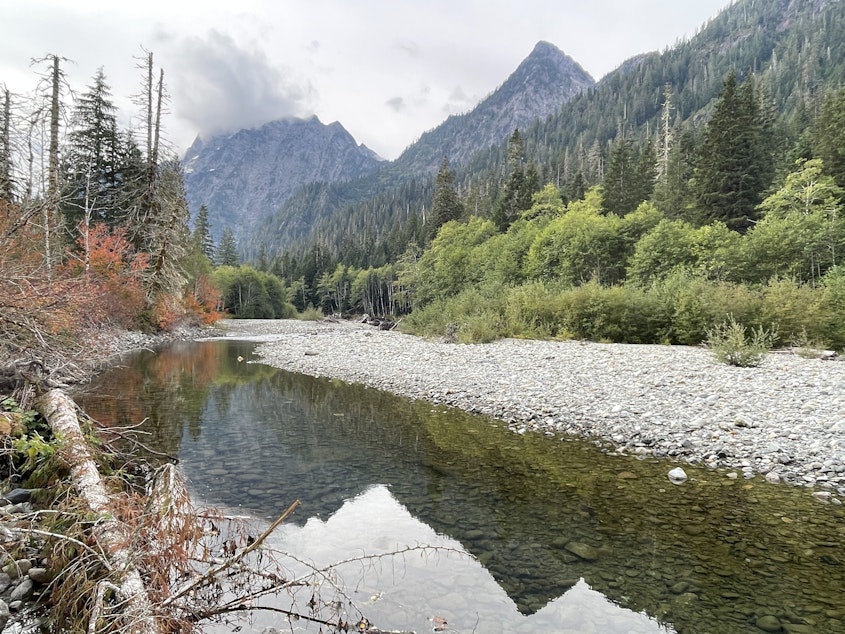 caption: Summer drought conditions, expected to worsen as the Northwest's climate continues to heat up, have exposed much of the riverbed of the South Fork Stillaguamish River on Sept. 23, 2023.