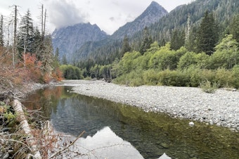 caption: Summer drought conditions, expected to worsen as the Northwest's climate continues to heat up, have exposed much of the riverbed of the South Fork Stillaguamish River on Sept. 23, 2023.