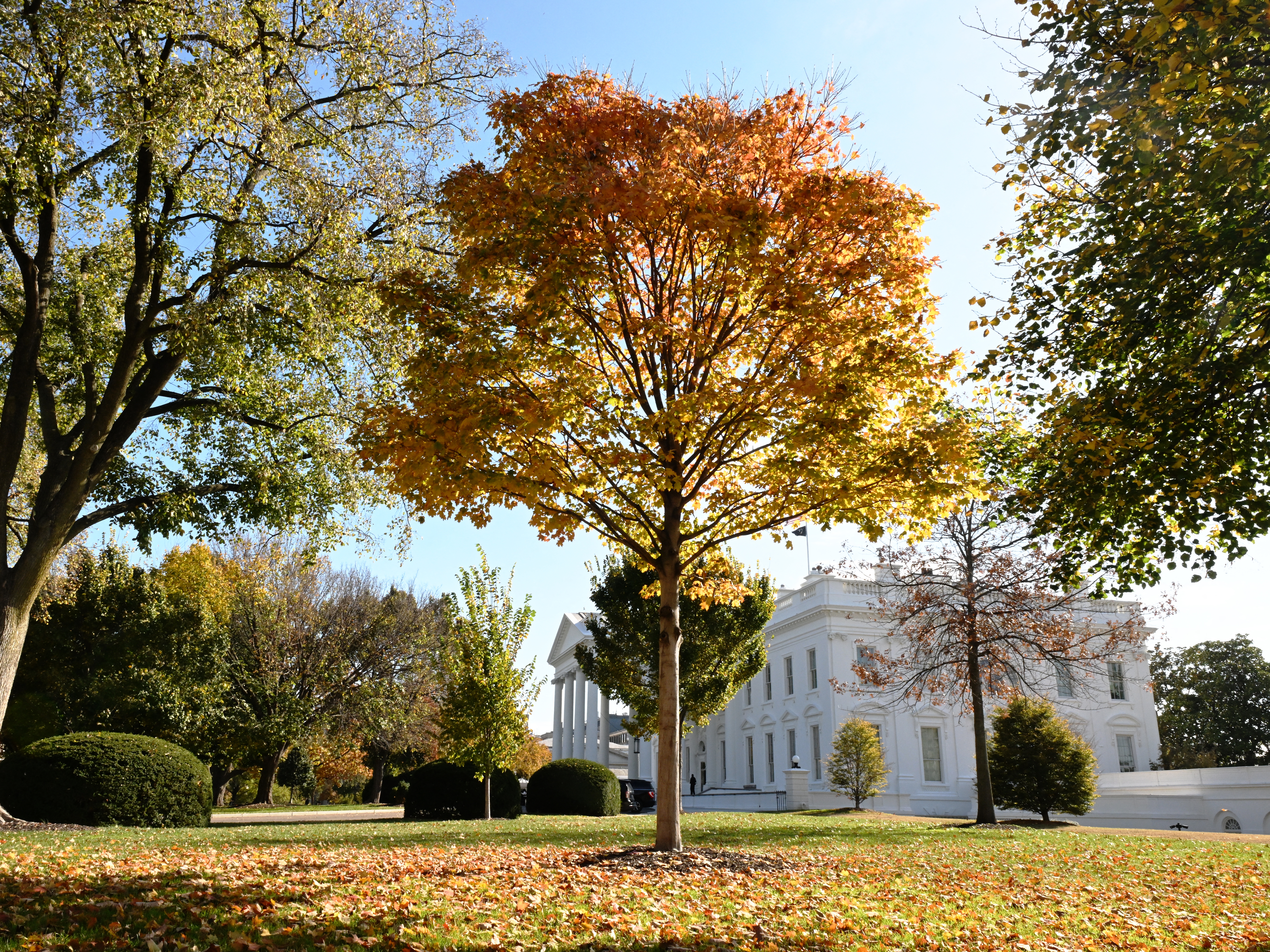 caption: The White House, as seen on Election Day on Nov. 5, 2024.