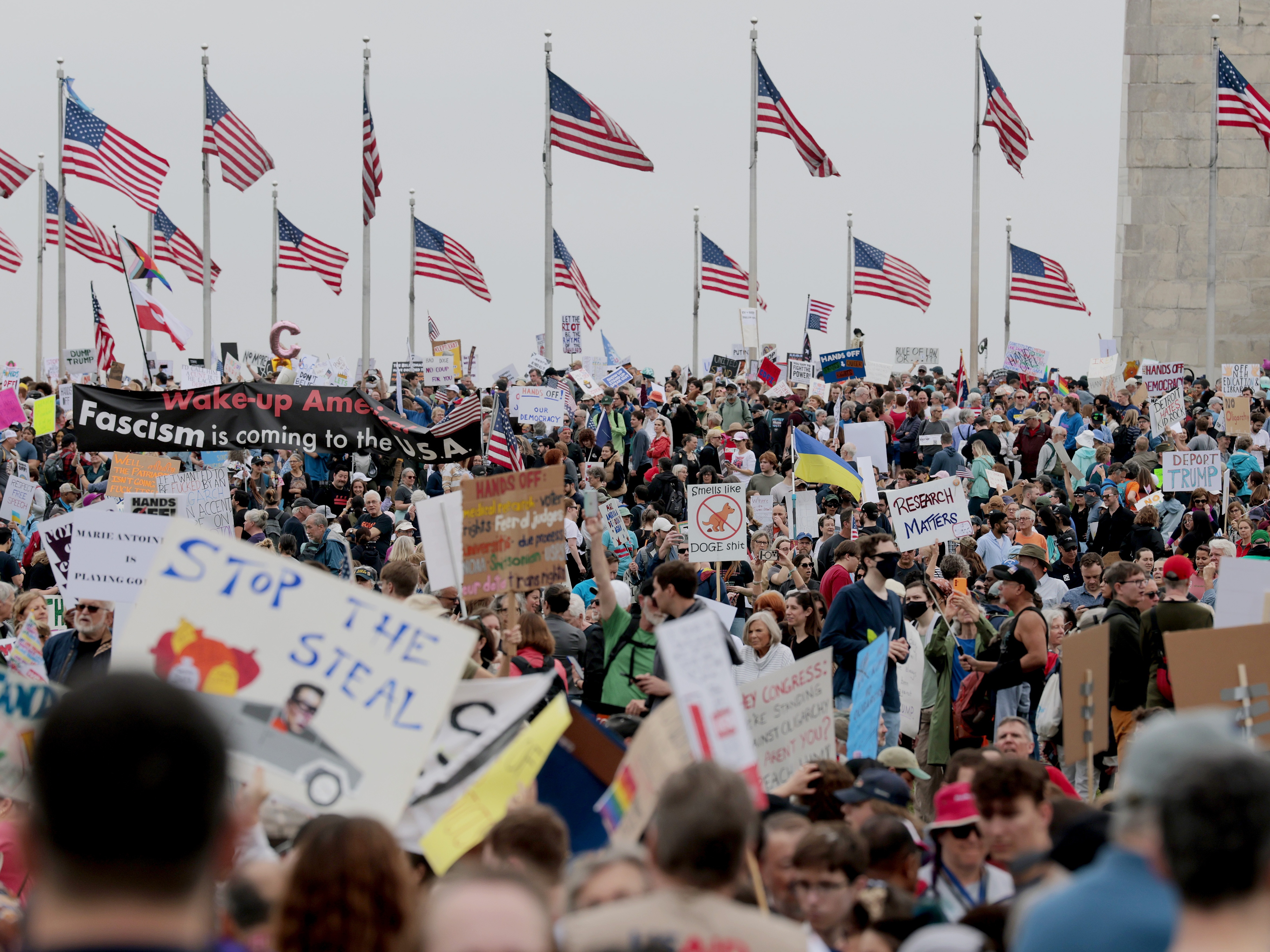 caption: Protesters rally against the Trump administration and Elon Musk's Department of Government Efficiency in Washington, D.C., on the National Mall on April 5, 2025.