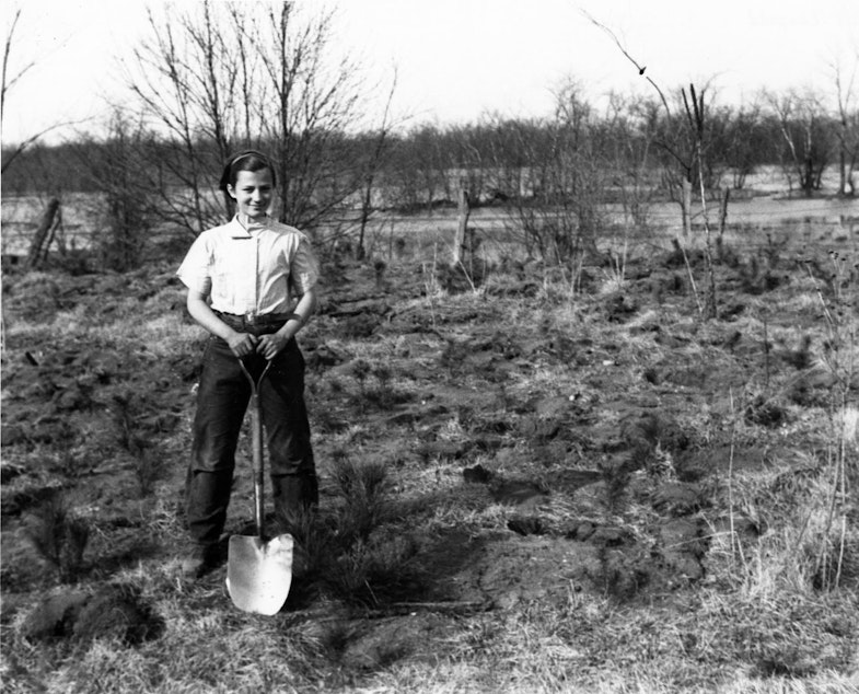 caption: Estella Leopold plants pine trees on the Leopold family farm near Baraboo, Wisconsin, in 1938.