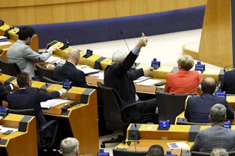 caption: Members of European Parliament participate in a series of votes as they attend a plenary session at the European Parliament in Brussels, Wednesday, April 10, 2024.