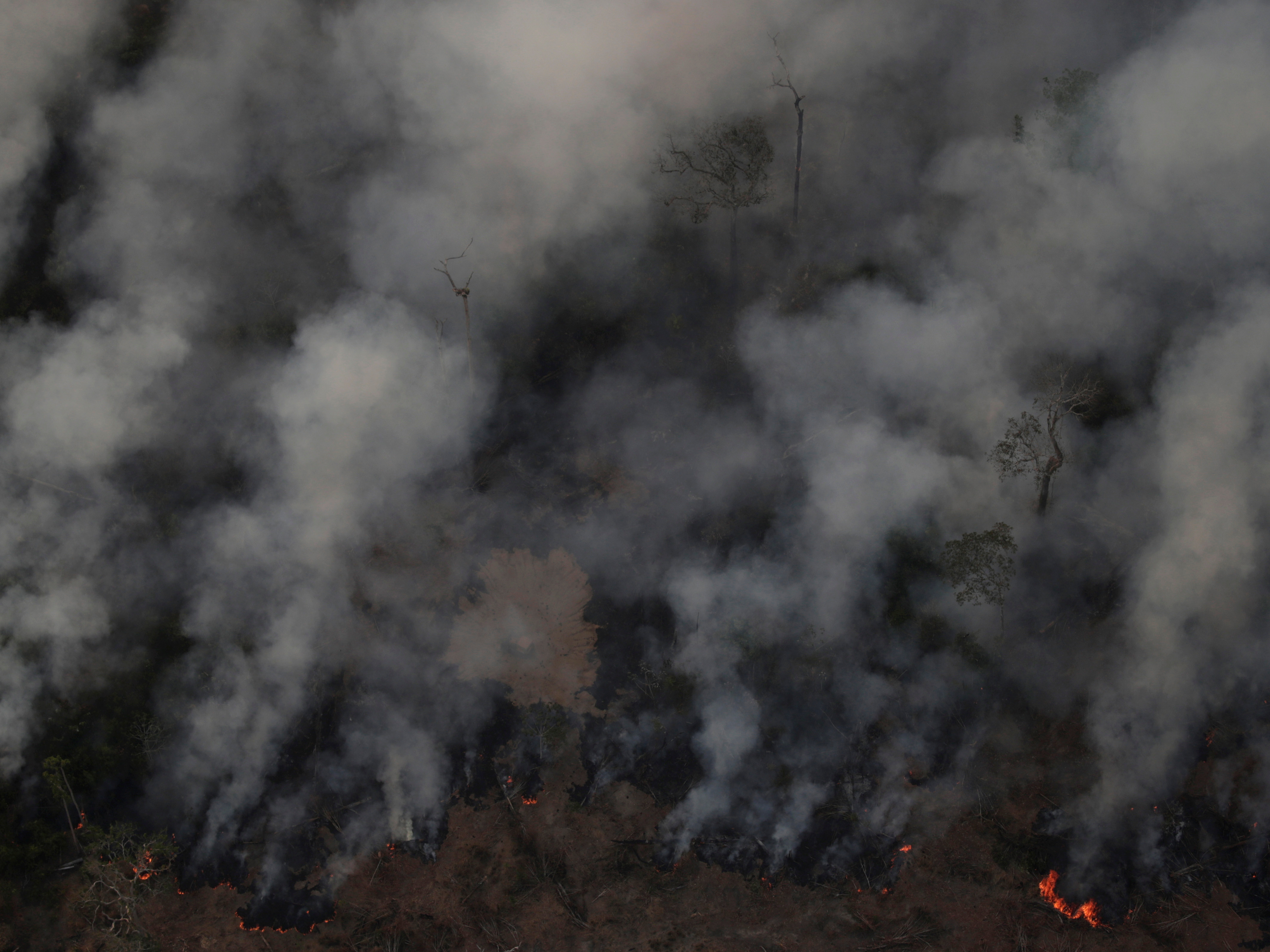 caption: Smoke billows from a fire in an area of the Amazon rainforest near Porto Velho, Brazil, earlier this week.