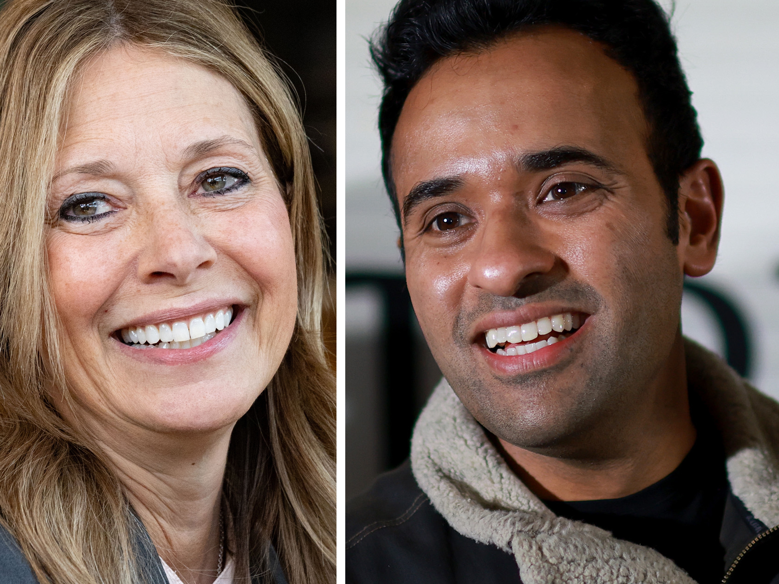 acton-vivek-diptych.jpg