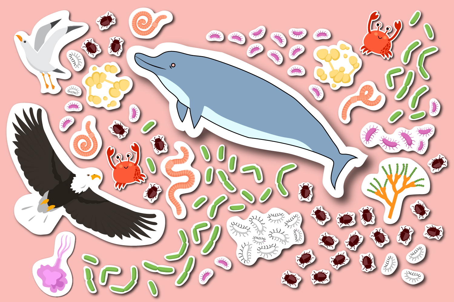 caption: Collage of spectacular specimens. Illustrations courtesy of iStock. 