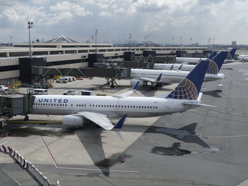 caption: United Airlines planes were parked at gates at Newark Liberty International Airport in Newark, N.J., last month. The airline has announced that it is eliminating many change fees.