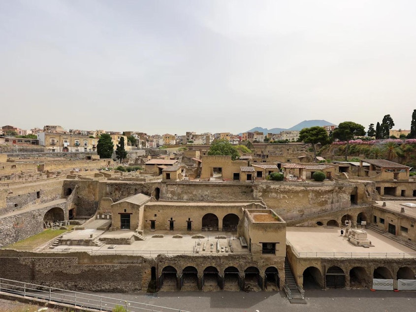 caption: A general view of the the archaeological excavations of Herculaneum in southern Italy.
