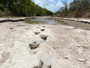caption: Dinosaur Valley State Park is home to many dinosaur tracks, but when drought conditions caused Paluxy River to dry up, it revealed tracks that are usually not visible.
