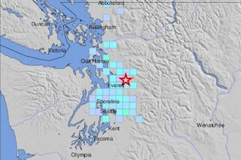 caption: A screenshot from the USGS Earthquake Hazards website shows reports of shaking from a quake that struck at 2:51 a.m. Friday, July 12, 2019.