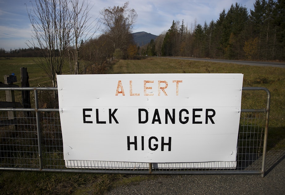 caption: A sign outside the home of Randy and Aileen Good is shown on Friday, November 8, 2019, along State Route 20 in Sedro-Woolley. On the other side, the sign reads 'Elk damages $1.4 Mil to Farms, Millions to Homes and Vehicles.' Aileen's family has lived on the property for 82 years. 