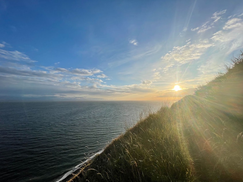 caption: The sun shines over Bluff Trail in Whidbey Island's Fort Ebey State Park on June 18, 2023.