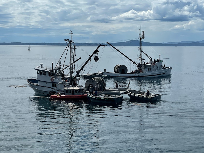 KUOW - Fishing boat that sank in orca waters ran into trouble 24