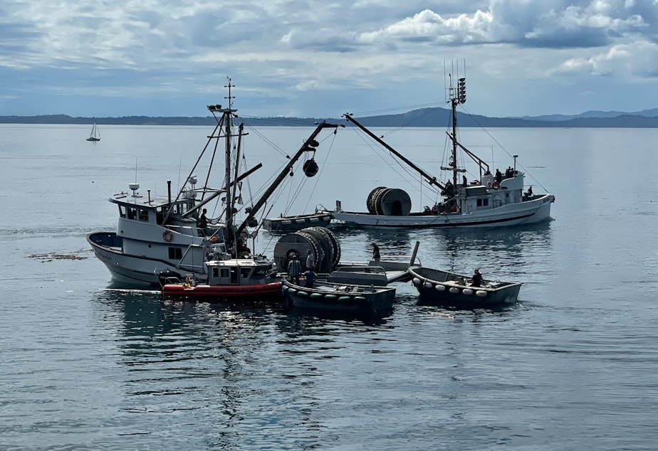 caption: A Swinomish Fisheries Department patrol boat assists two purse seiners that rescued the crew of the Aleutian Isle after it sank on Aug. 13 off San Juan Island.