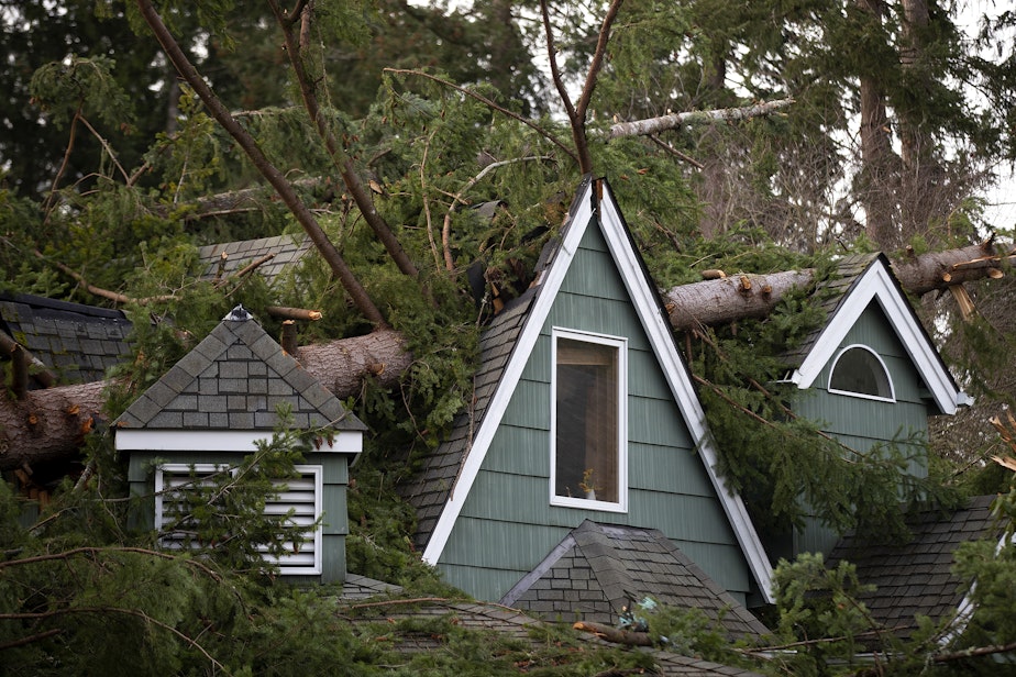caption: A large tree is shown fallen onto a home along 173rd Avenue Northeast on Thursday, November 21, 2024, in Bellevue.