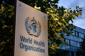 caption: A report issued by the World Health Organization this week detailed 83 allegations of sexual abuse by its employees during the Ebola crisis in the Democratic Republic of Congo that started in 2018. Director-General Tedros Adhanom Ghebreyesus called it a "dark day" for the U.N. body.