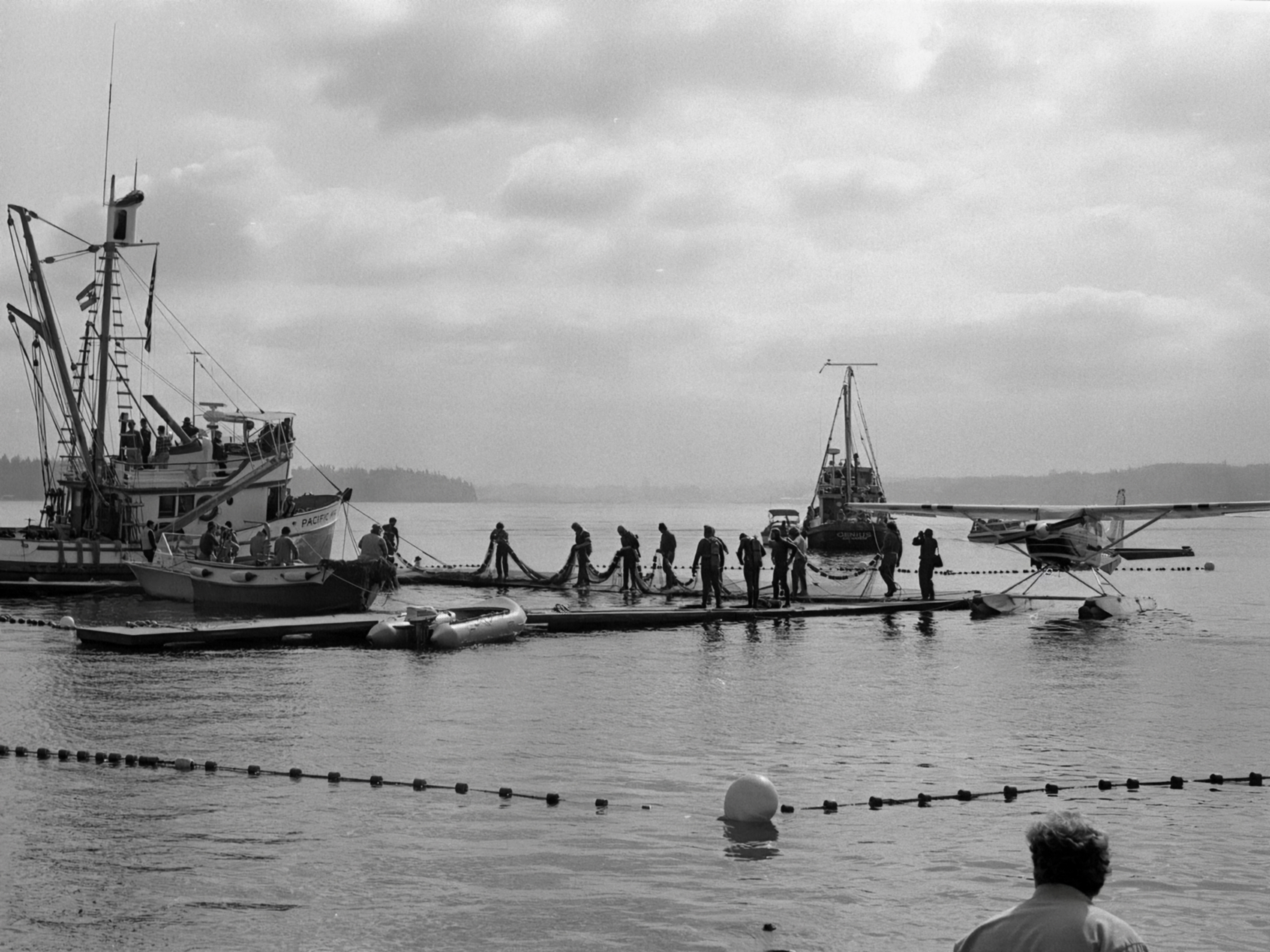 caption: Washington State Archives photo of Budd Inlet capture on March 7, 1976.