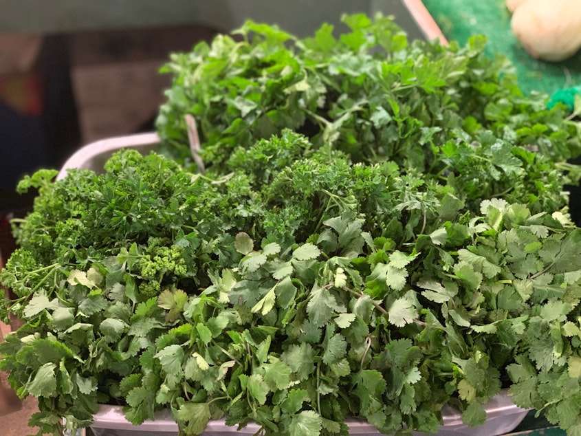 caption: Cilantro and mint are foundational herbs in Vietnamese cooking.  