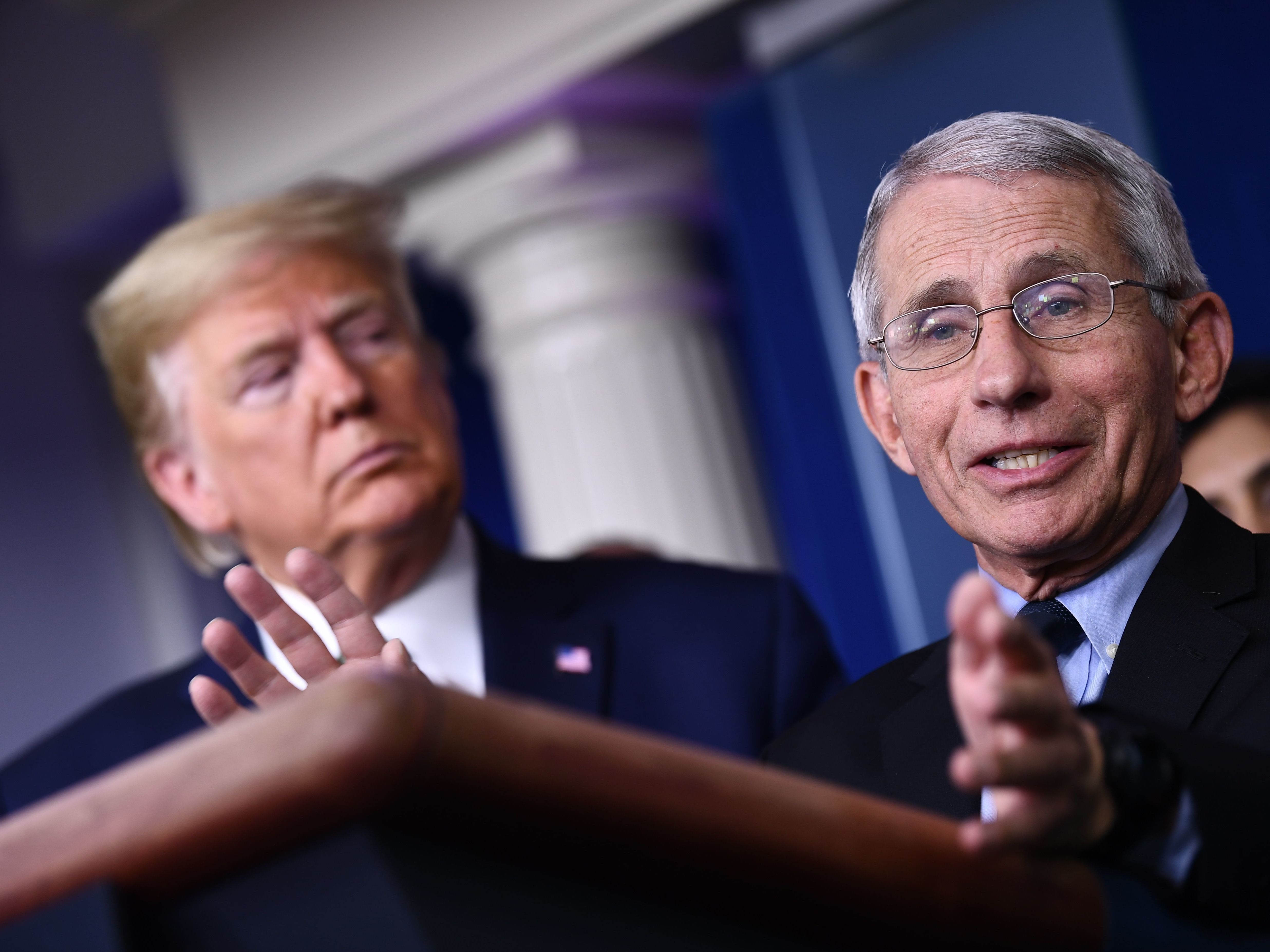 caption: Dr. Anthony Fauci speaks, as President Trump looks on during a daily press briefing on the coronavirus pandemic last month.