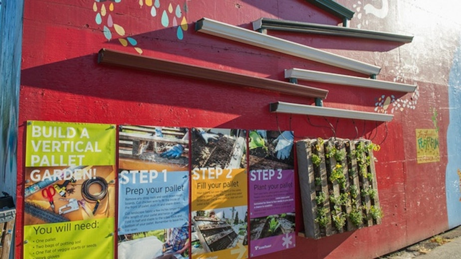 caption: Seattle's vertical garden is an art installation that asks passersby to consider innovative ways to squeeze gardens into urban areas.