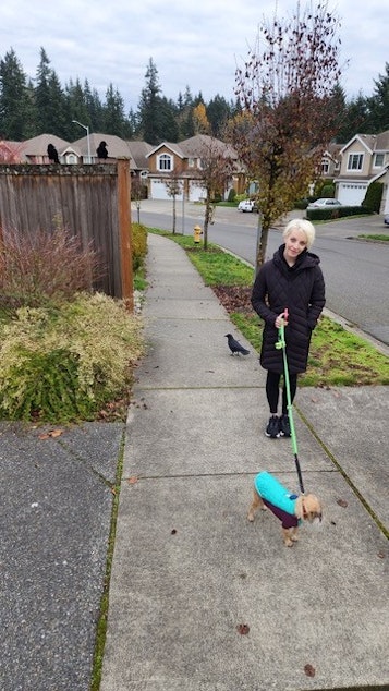 caption: Kira Jane Buxton and her crow friends in the Bothell area prepare to go for a walk with Buxton and her dog, Ewok.