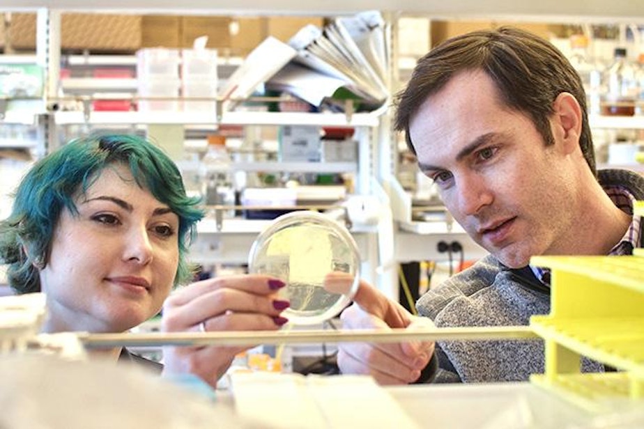 caption: Neil King and Brooke Fiala at the UW Medicine Institute for Protein Design 