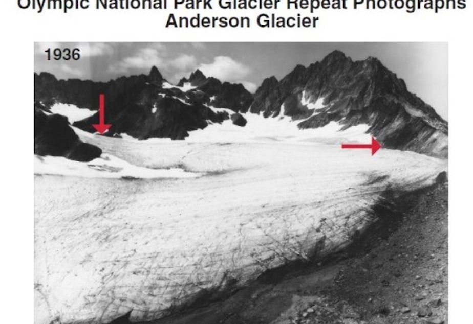 caption: The Anderson Glacier in Olympic National Park in a photo taken by Asahel Curtis in 1936.