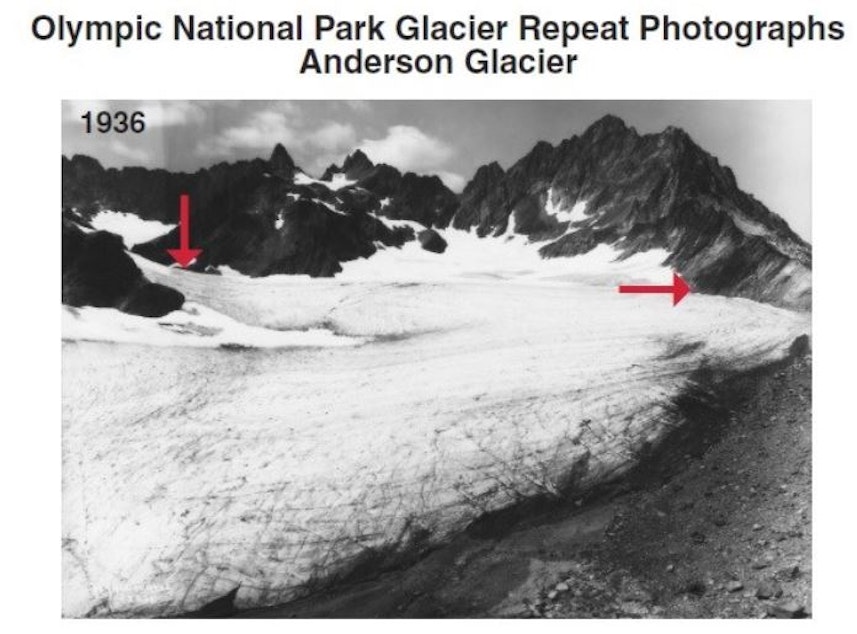 caption: The Anderson Glacier in Olympic National Park in a photo taken by Asahel Curtis in 1936.