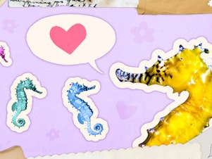 Collage: a father seahorse faces three smaller seahorses, representing his children. A speech bubble with a heart comes out of the father's mouth, symbolizing the advice given by fathers to their children.