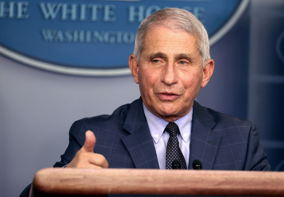 caption: Dr. Anthony Fauci, director of the National Institute of Allergy and Infectious Diseases, speaks during a White House Coronavirus Task Force press briefing at the White House on November 19, 2020. (Tasos Katopodis/Getty Images)