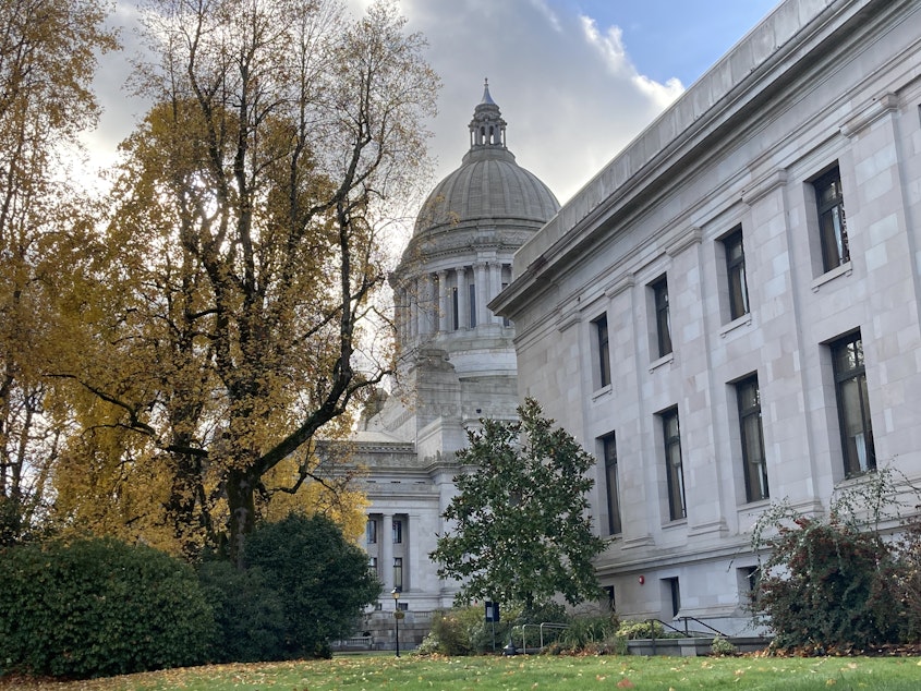caption: Washington House Democrats have been instructed to limit the number of bills they introduce during the 2021 legislative session because of COVID-19.