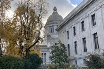 caption: Washington House Democrats have been instructed to limit the number of bills they introduce during the 2021 legislative session because of COVID-19.