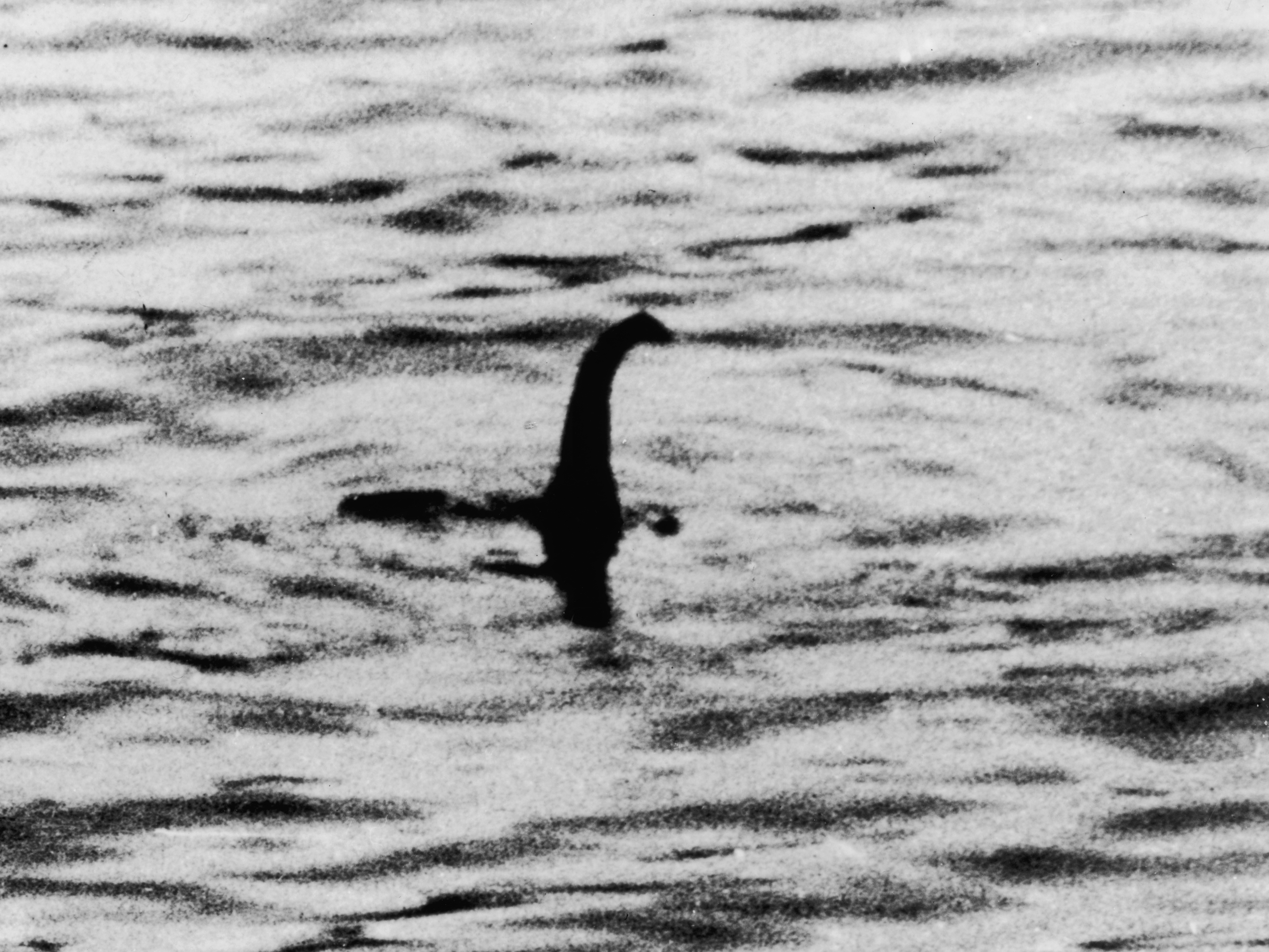 caption: This photo, purported to be of the Loch Ness Monster, was taken near Inverness, Scotland in 1934. One of the participants revealed on his deathbed that the pictures were staged.