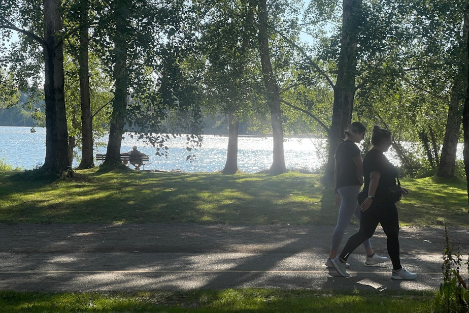 caption: Cottonwood trees shade park goers at Seattle's Green Lake Park in August 2022.