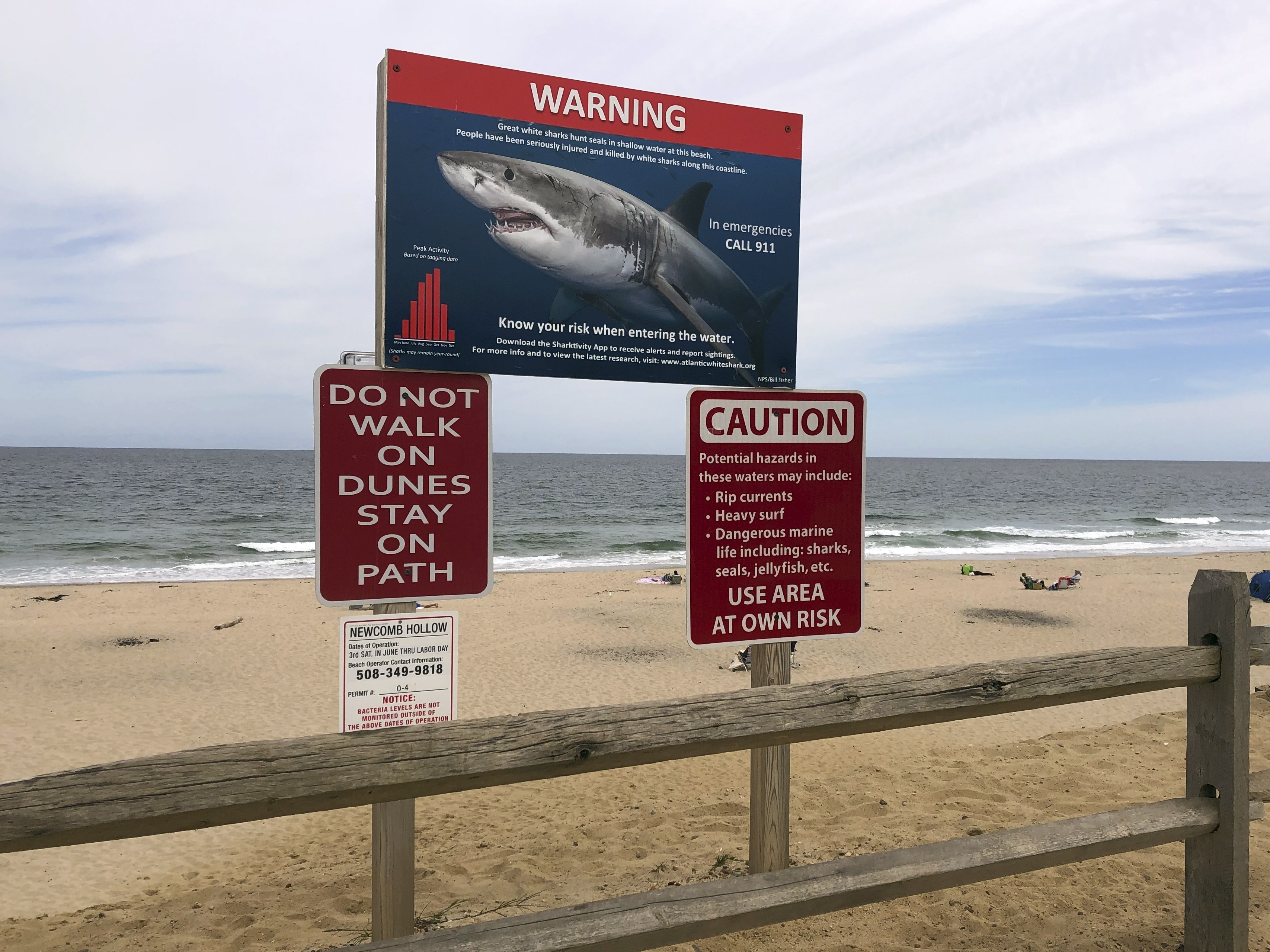 caption: In this Sept. 5, 2019 photo, a shark warning sign is seen at Newcomb Hollow Beach in Wellfleet, Mass.
