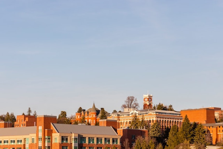 wsu washington state university generic
