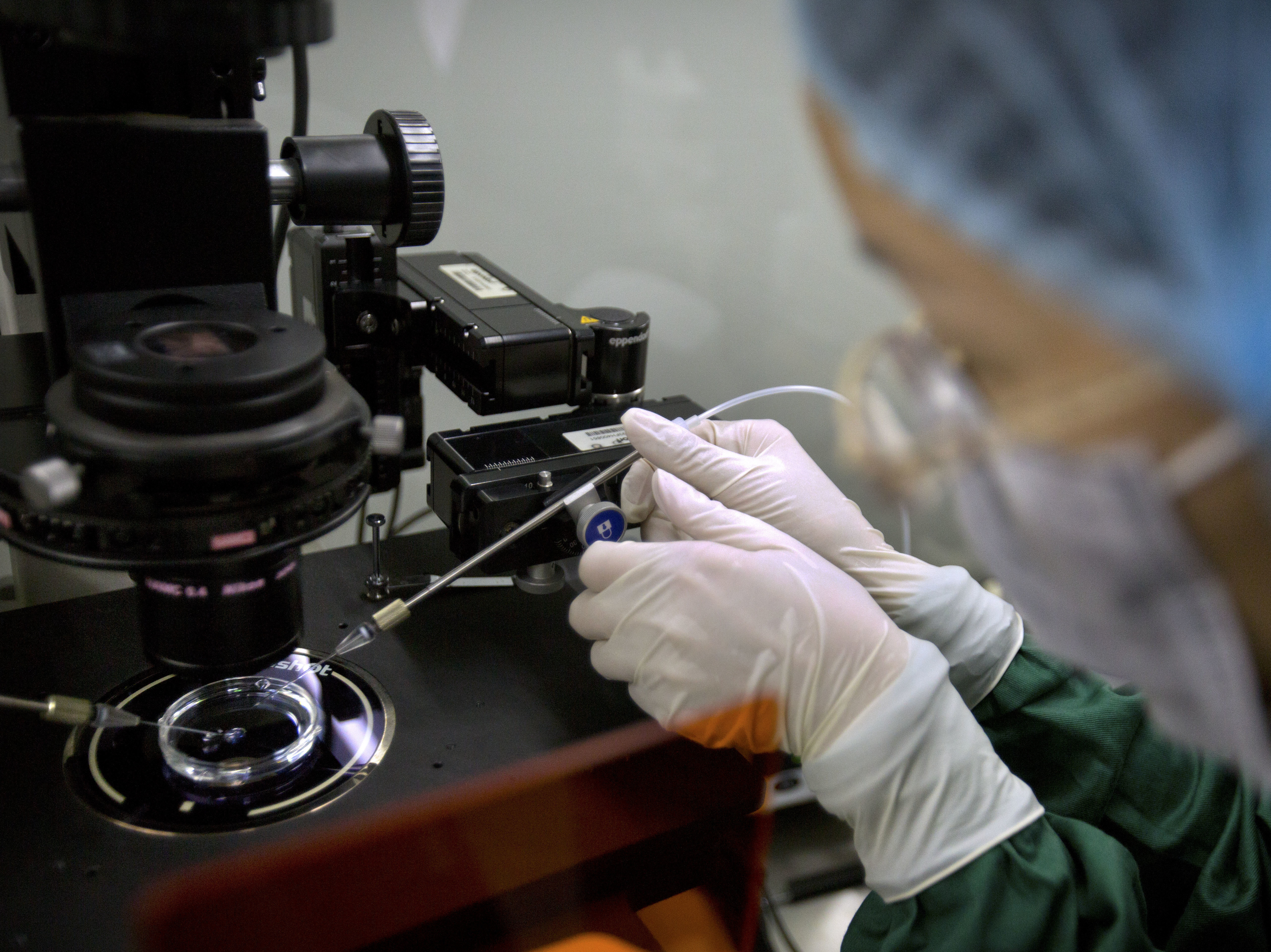 caption: Some scientists oppose a prohibition of studies that could help determine whether editing embryonic genes would be safe and effective in preventing inherited disease.