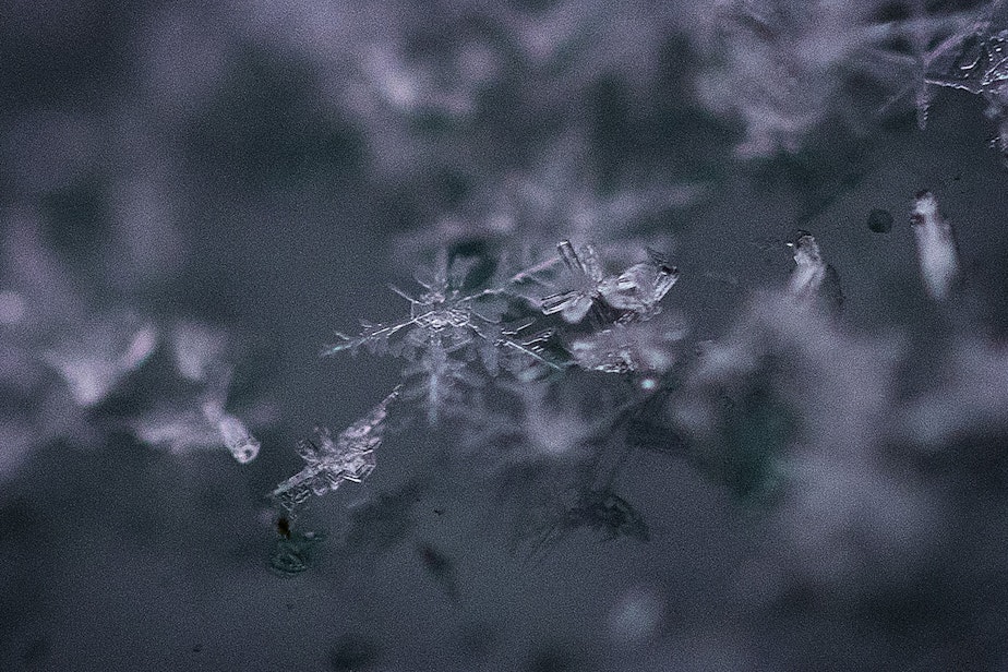 caption: A snowflake lands on the windshield of a car on Tuesday, November 29, 2022, in Seattle. 